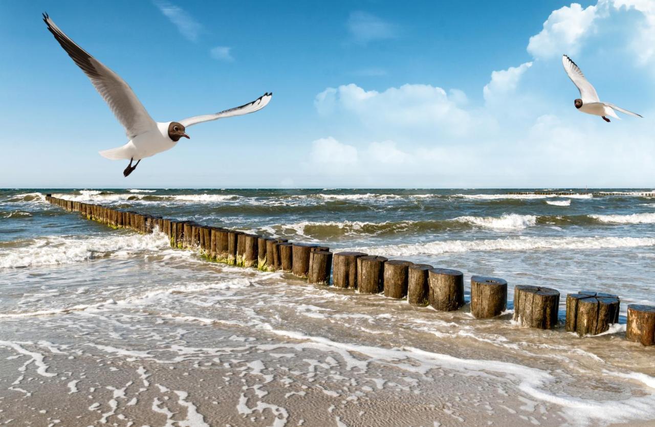 ווסטרלנד Haus Am Meer Whg 46 מראה חיצוני תמונה